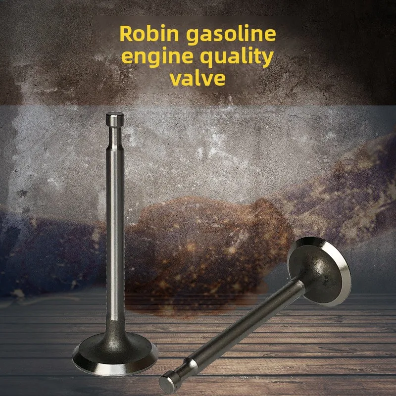 Generator Impact Rammer Water Pump Accessories RGX2400RGX3500 EY20 EY28 Intake and Exhaust Valve