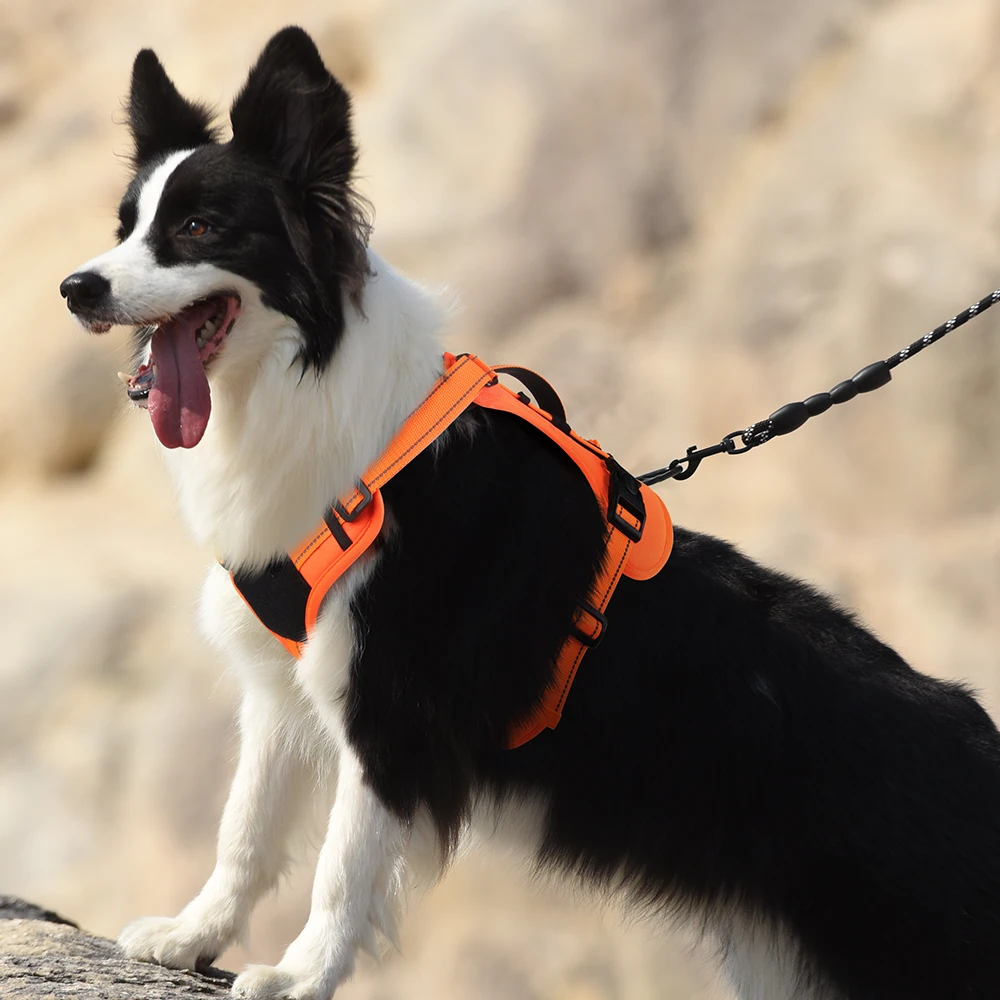 Pet Chest and Back Strap Explosion-proof Chest and Back Tactical Dog Chest and Back Strap Vest Reflective Dog Leash