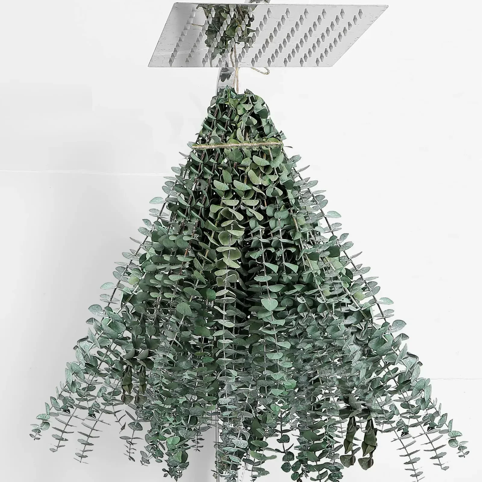 

10PCS Fresh Eucalyptus Leaves Shower Hanging Dried Flowers Eucalyptus Stems Home Farmhouse Autumn Decor DIY Artificial Plants