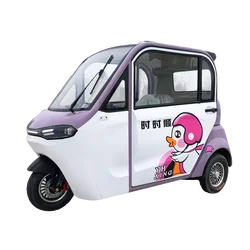 New Fully Enclosed Electric Tricycle, Old Man Lejia, with A Shed for Women To Pick Up and Drop Off Children