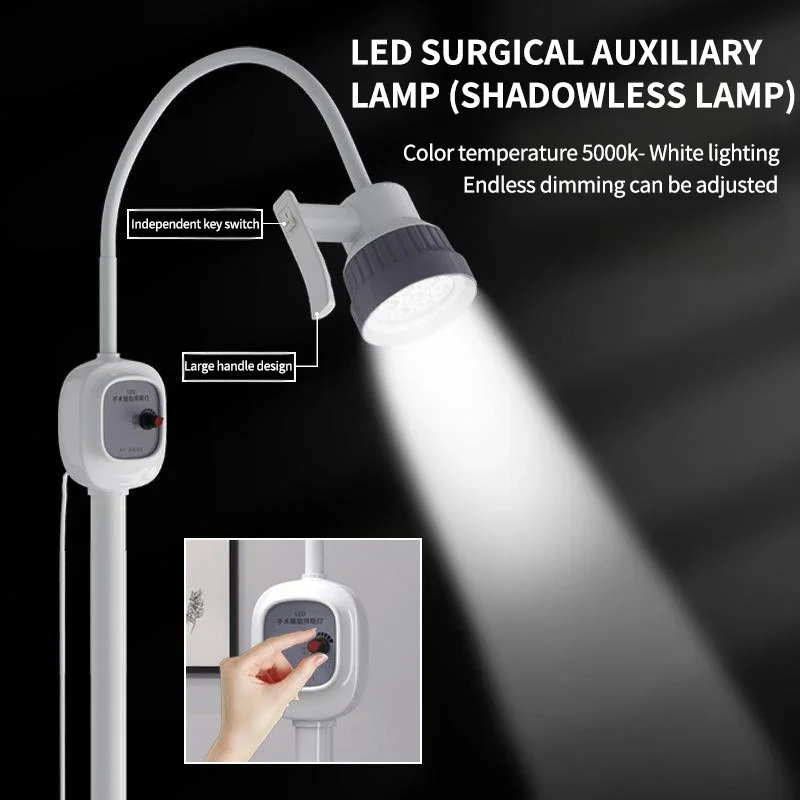 Portable 3W LED Examination Light/Lamp Hospitals Clinics Mobile Gynecology Gooseneck Floor Stand Electric Source Metal Material