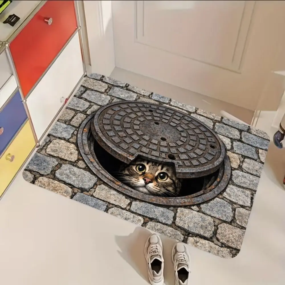 2D Flat Optical Illusion Doormat Non-slip Water-absorbing Bathroom Carpet Diatomaceous Earth Abrasion-resistant Bedroom Door Rug