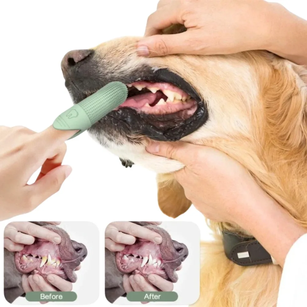 1/3Pcs 360° Pet Silicone Cleaning Nail Brush Finger Brush Cat Dog Pet Tooth Brush Dog Teeth Cleaning Cat Toothbrush Pet Products