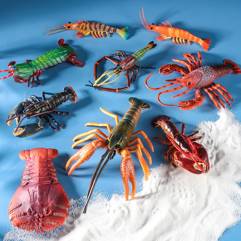 Sea Life Animals Boston Lobste - Marine Life Aquariums ulasan dan harga