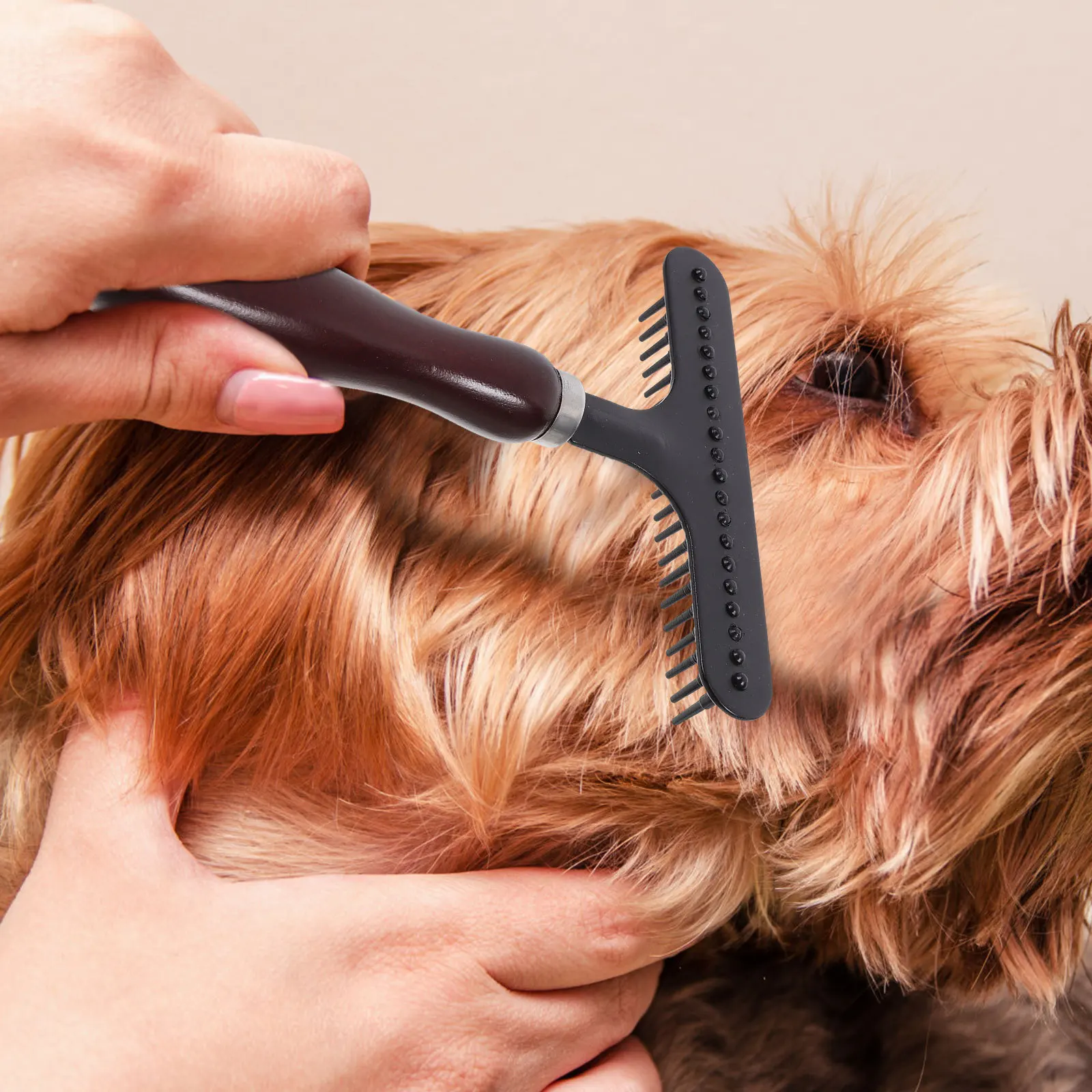 

Pet Comb Brush Stainless Steel Teeth Wooden Handle Detangles Mats Loose Hair Dog Cat Grooming Tool For Curly Hair Puppy