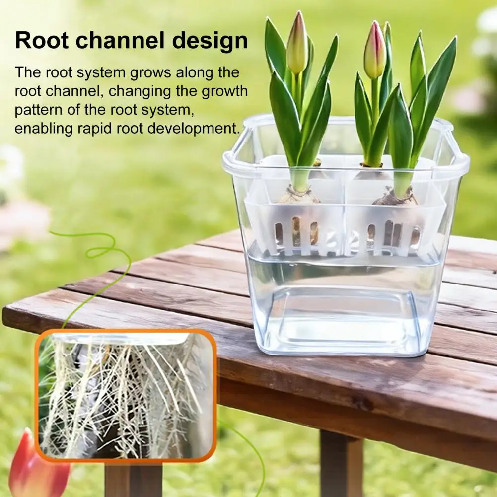4-Cell Hydroponic Flower Pot with Reservoir Tulip Bulb Planter Plastic Plant Pot with Inner Drainage Pot for Indoor Gardening