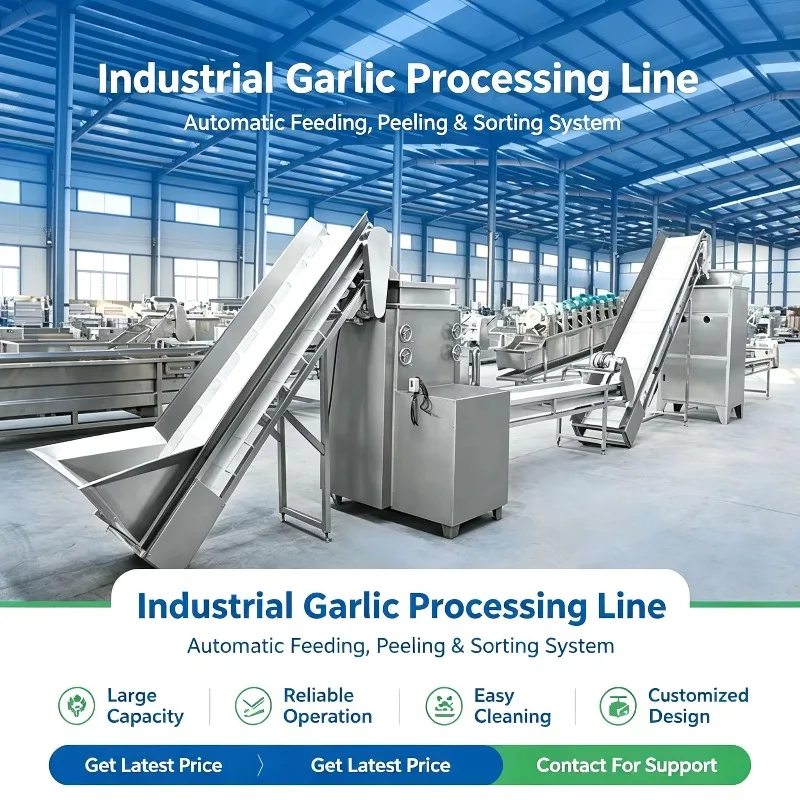 High Output Garlic Splitting Peeling Line Continuous Dry Type for Commercial Food Factory Equipment Custom