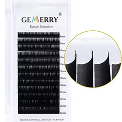 GEMERRY Classic Volume 12Rows Mixed 8-12/15-20mm Length Individual Eyelashes Extension Faux Mink Hand-made Fans Makeup Lashes