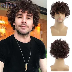 Men Synthetic Short Brown Wigs for Man Curly Hair Fluffy Wig with Bangs Heat Resistant Breathable Daily Wear Fake Ha