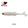 PA12