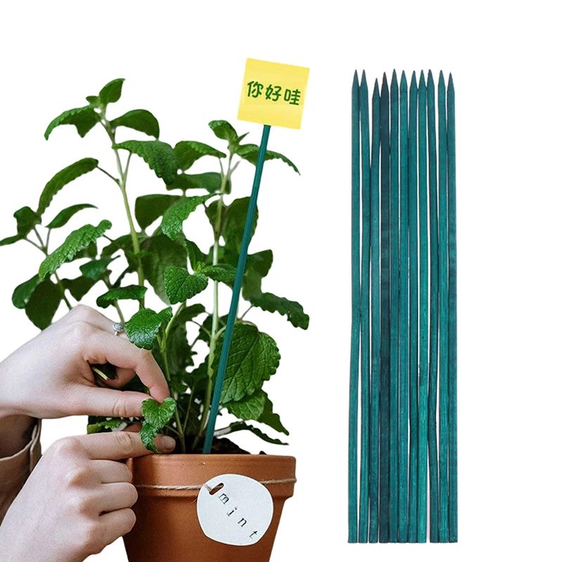 

10Pcs 38cm Bamboo Green Sticks Plant Support Flower Stick Orchid Rod Plant Sticks for Supporting Climbing Plant Orchid Tomato