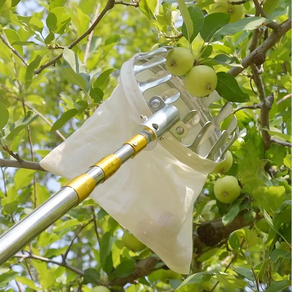 Poste recolector de frutas telescópico con cesta: herramienta de jardín liviana para recoger manzanas, mangueras, limones y naranjas