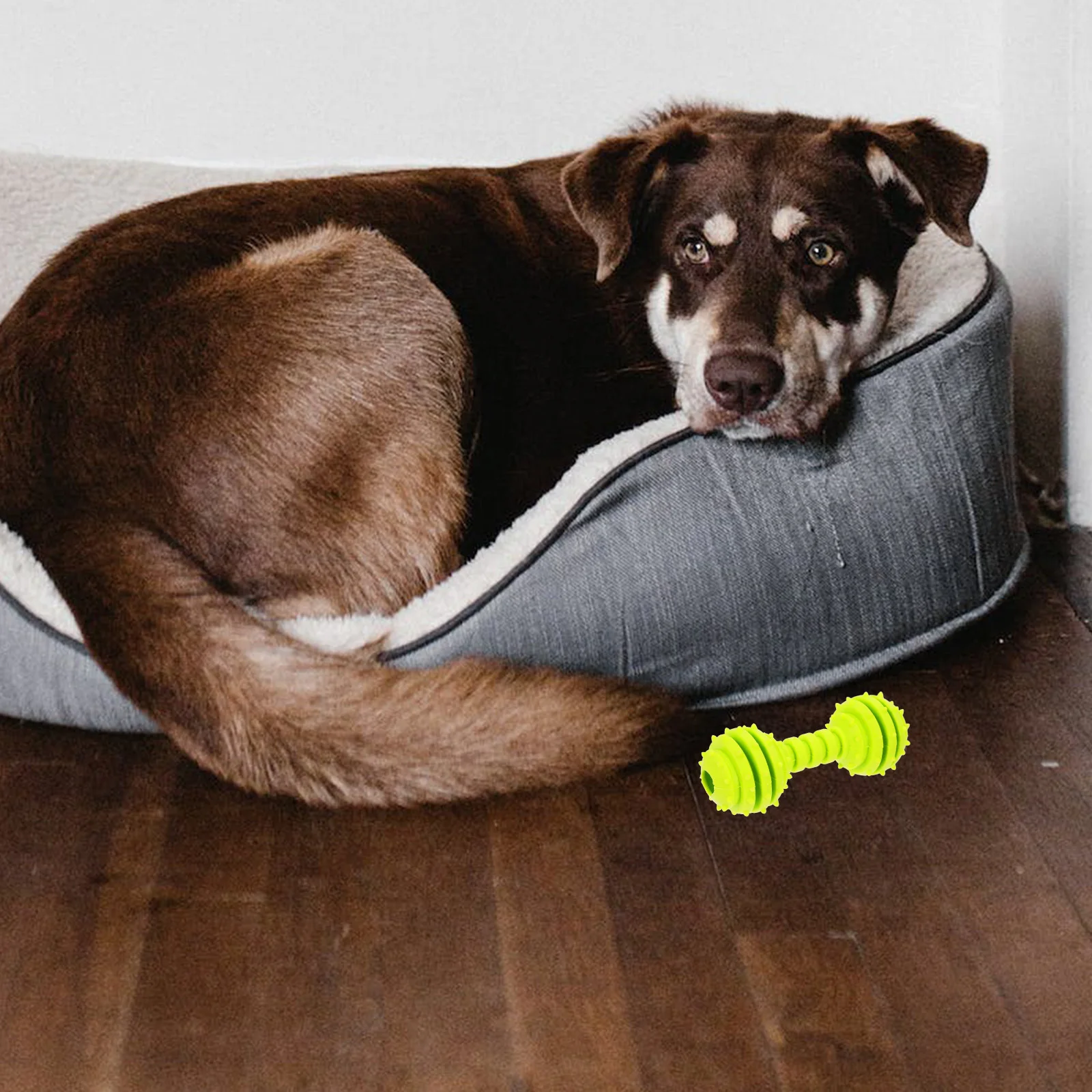 

Pet Dog Tooth Cleaning Plaything Random Color Safe Material Chewable Gums Sensitivity Exercise Fun Gift