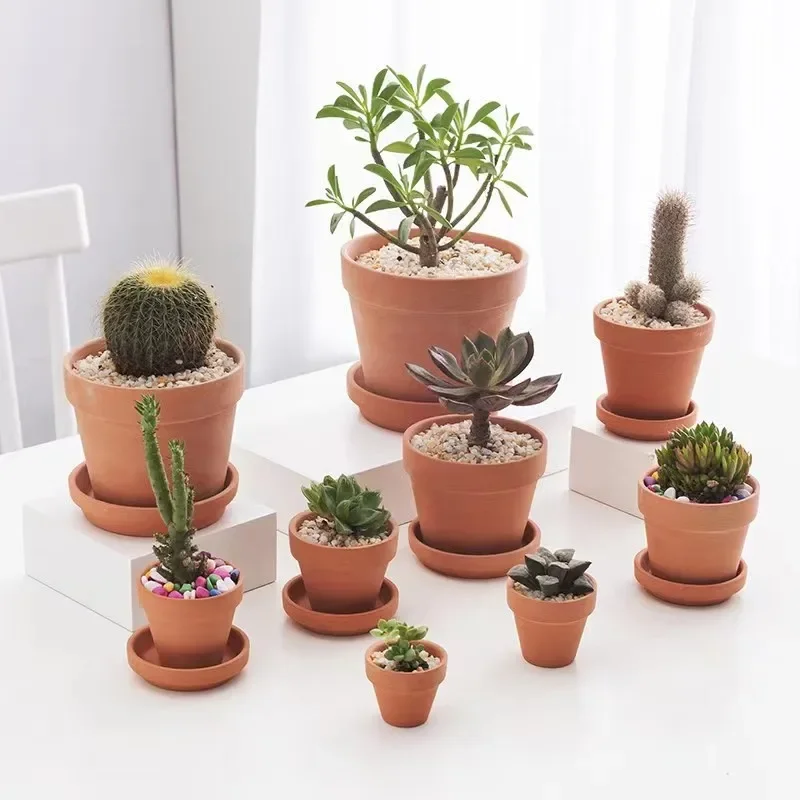 5/10/20pcs Terra Cotta Pots Pottery Planter Cactus Flower Pots Succulent Pot with Drainage Hole- Great for Plants,Crafts