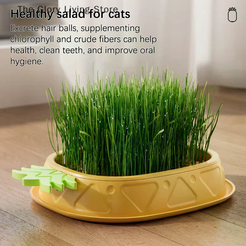 

Pineapple Shape Cat Grass Planting Box Planting Hydroponics Box Soilless Hydroponic Cat Grass Case Cat Grass Planter Tray