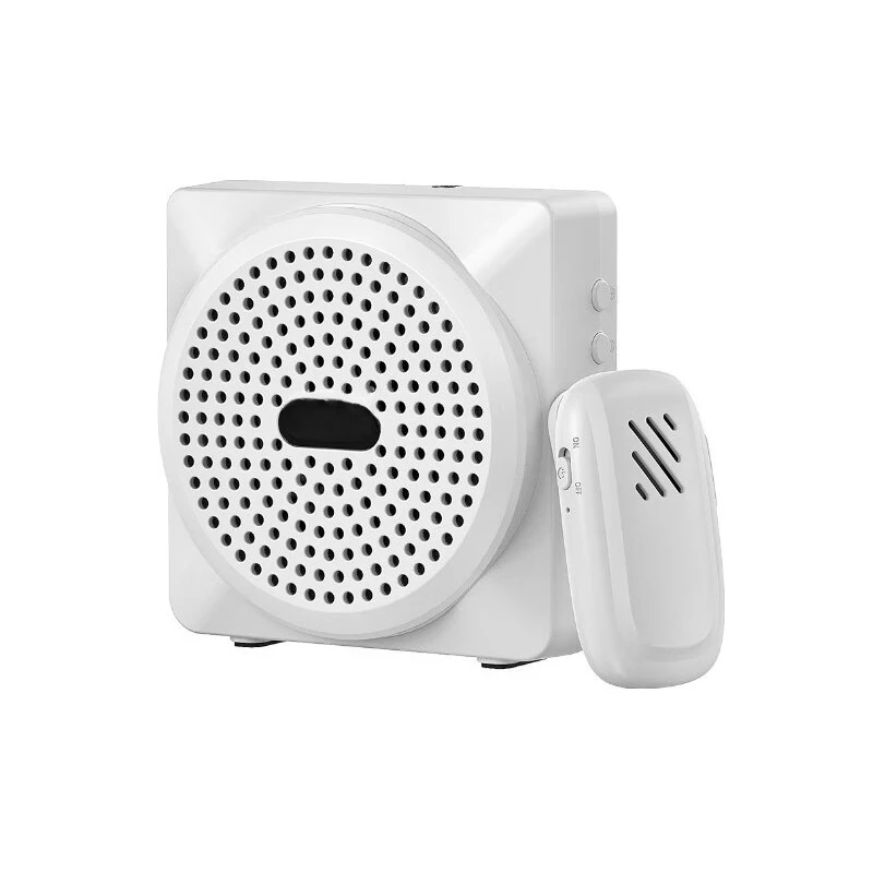 

Little Bee Loudspeaker Teacher Special Guide Wireless