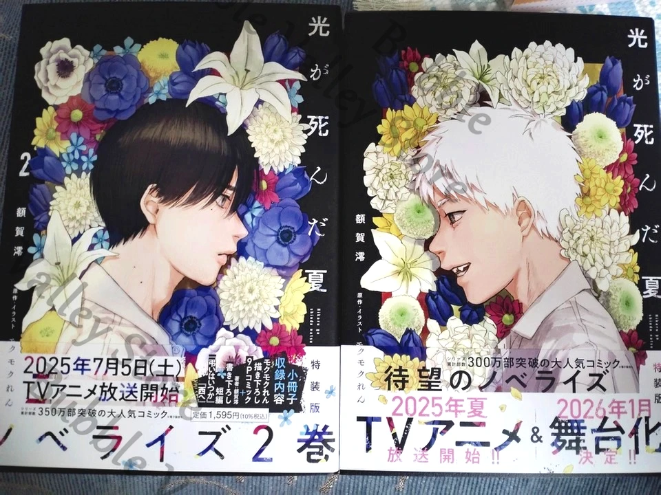 

Genuine Anime The Summer Hikaru Died Tsujinaka Yoshiki Indou Cosplay Cartoon Japanese Volume 1 2 Special Edition Fiction Novel