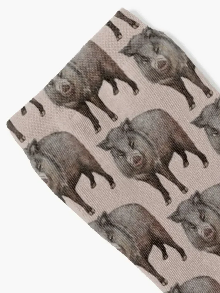 Javelina (Pecari tajacu) Digital Painting Socks winter moving stockings Boy Socks Women's