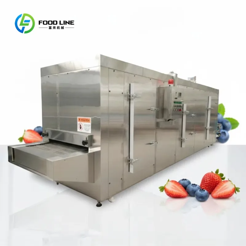 Customized IQF Tunnel-type Quick-freezing Machine for Ice Cream and Popsicles, Cold Storage Quick-freezing Machine, Tunnel