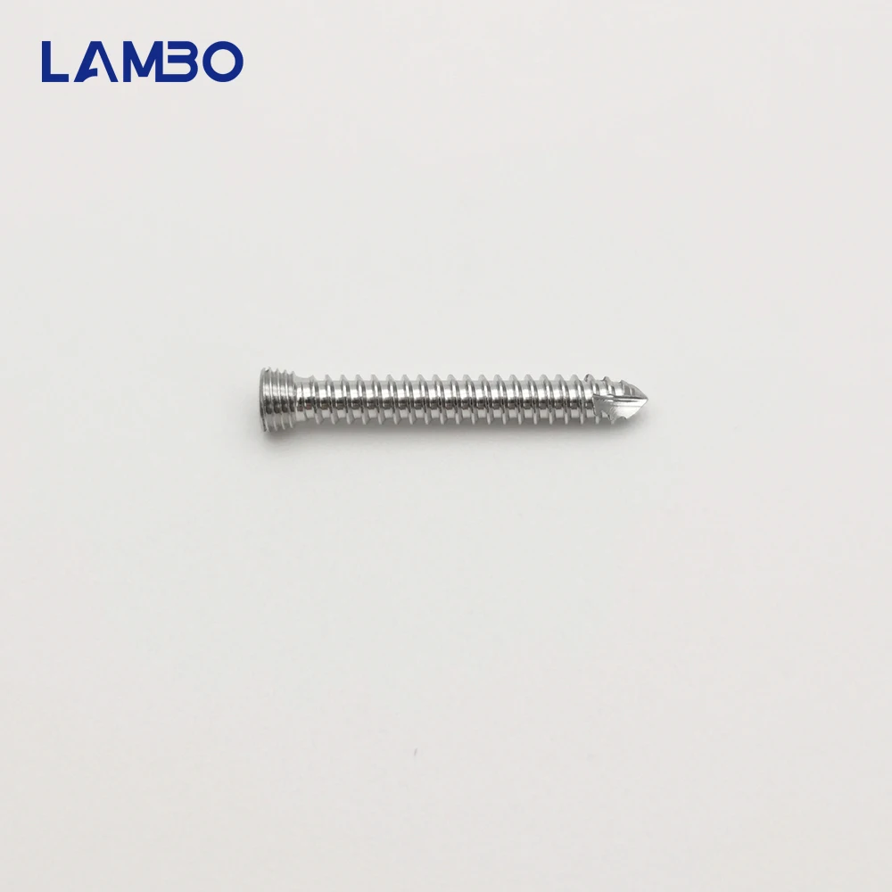 10pcs 2.4mm S.S. Stardrive Locking Screws,Pet Veterinary Orthopedics Implants, Surgical Instruments for Dogs,Medical Accessories