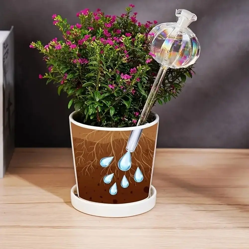 

Cactus Cactus Self Watering Planter Glass Automatic Automatic Plant Watering Bulbs Cute Plant Water Feeder Glass Bulbs