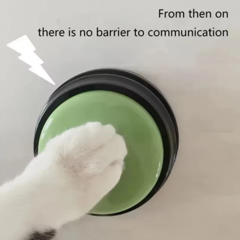 #4 Latest Pet Toys Updates