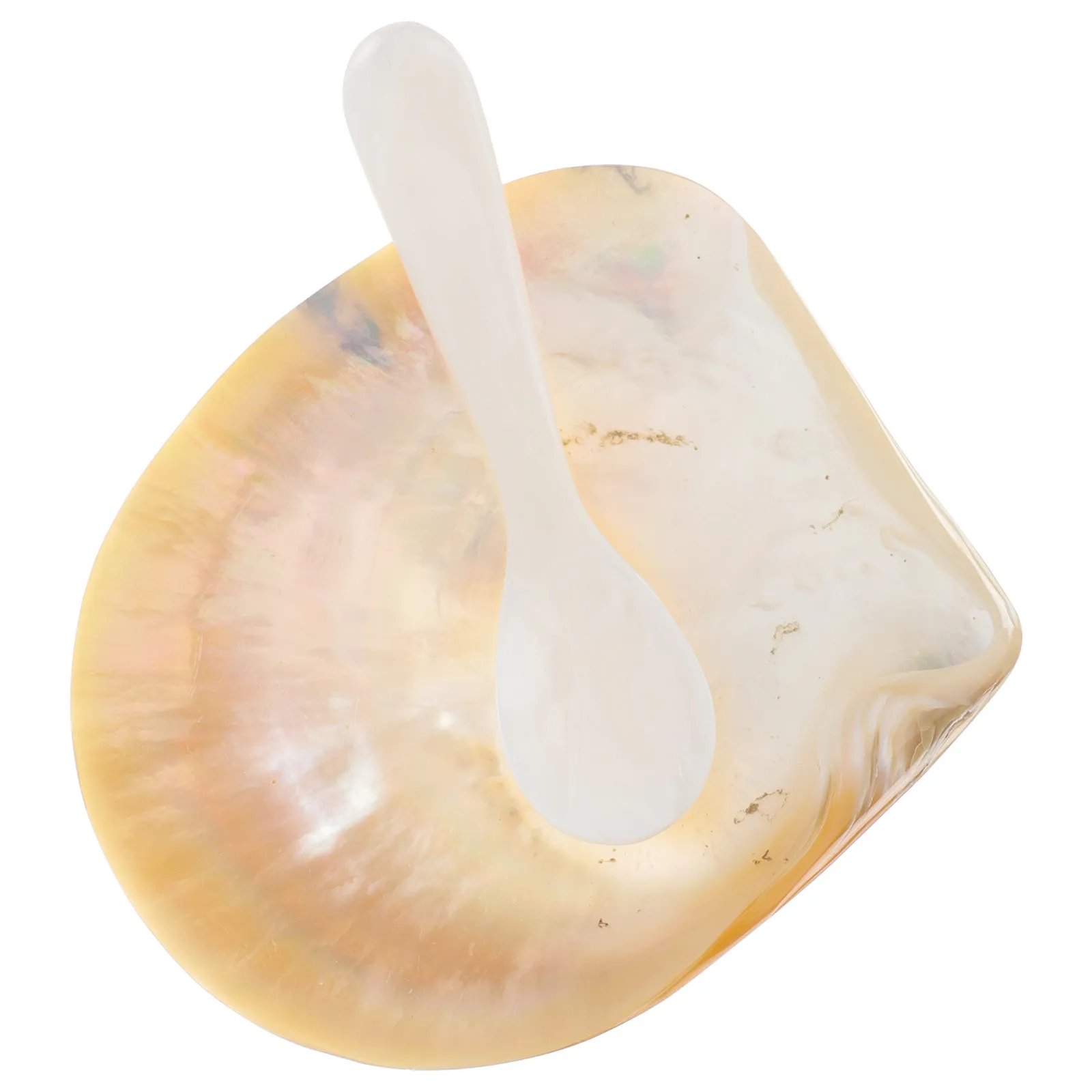 

1 Set Mini Caviar Dish Natural Shell Decorative Shell Adornment Smooth Surface Caviar Serving Dish Desktop Decoration