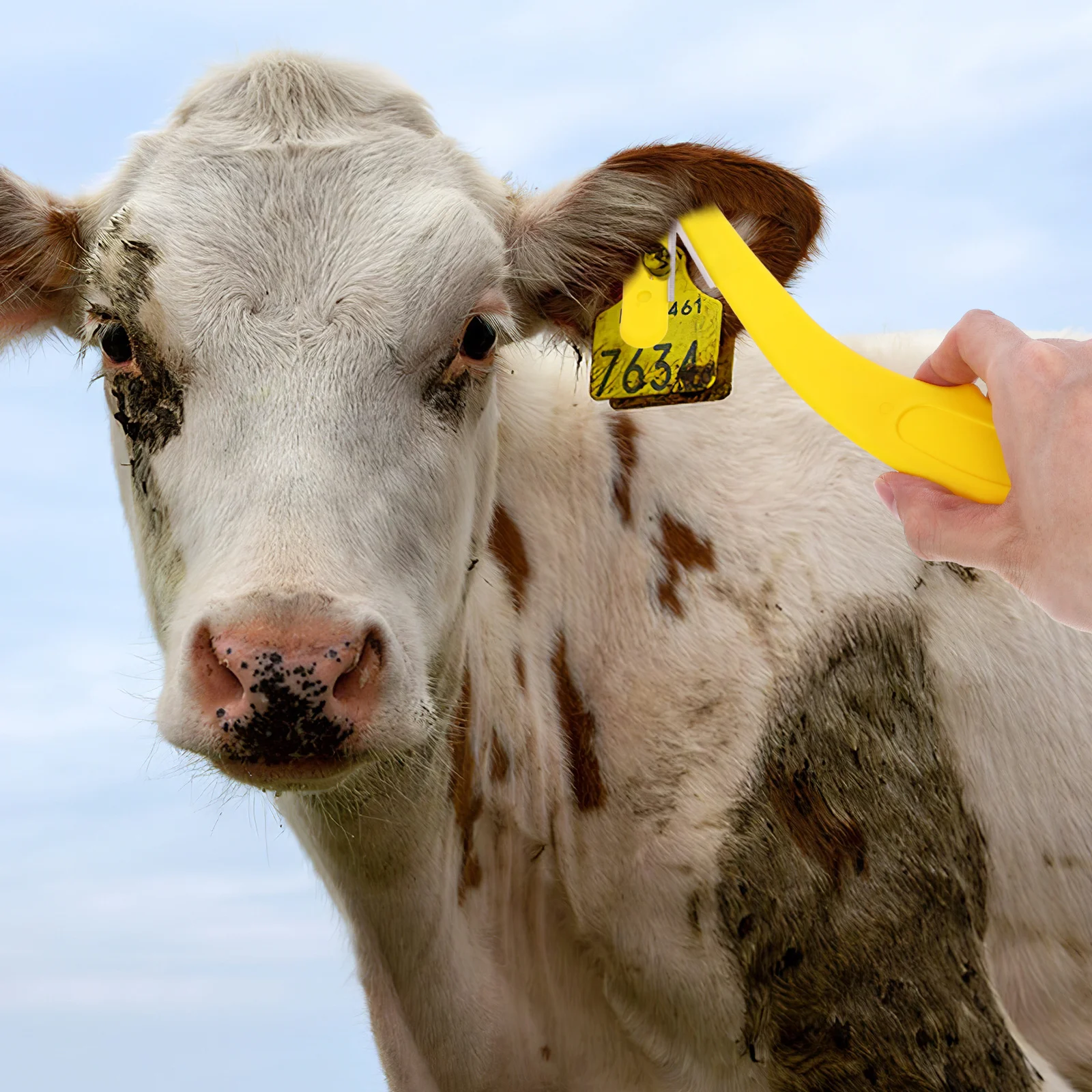 

Livestock Ear Tag Removal Tool Heavy Duty Sharp Steel Cutter Professional Multipurpose for Cattle Pig Sheep Goat