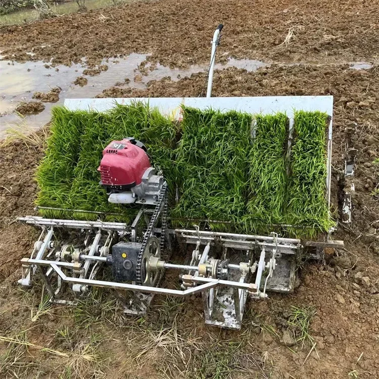 Portable hand-pulled rice transplanter 750 is a small hand-pulled rice transplanter suitable for small plots.