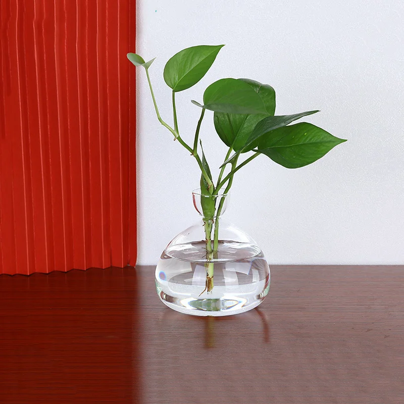 1Pcs Elegant Avocado Seed Starter Vase Transparent Glass Vase Vase For Growing Plant Glass Seed Growing Kit For Gardening Lovers