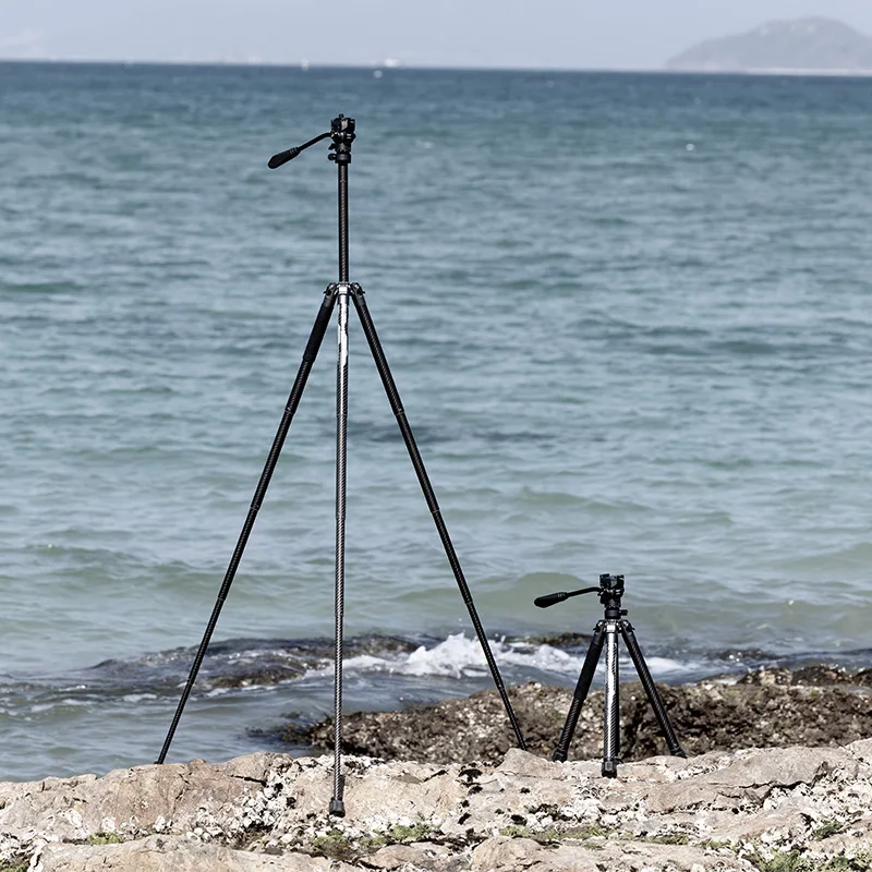 Ulanzi-Trépied de voyage en fibre de carbone avec tête des Émirats arabes unis, vidéo à dégagement rapide, F38, plaque QR, appareil photo reflex numérique, monopode, 61 pouces