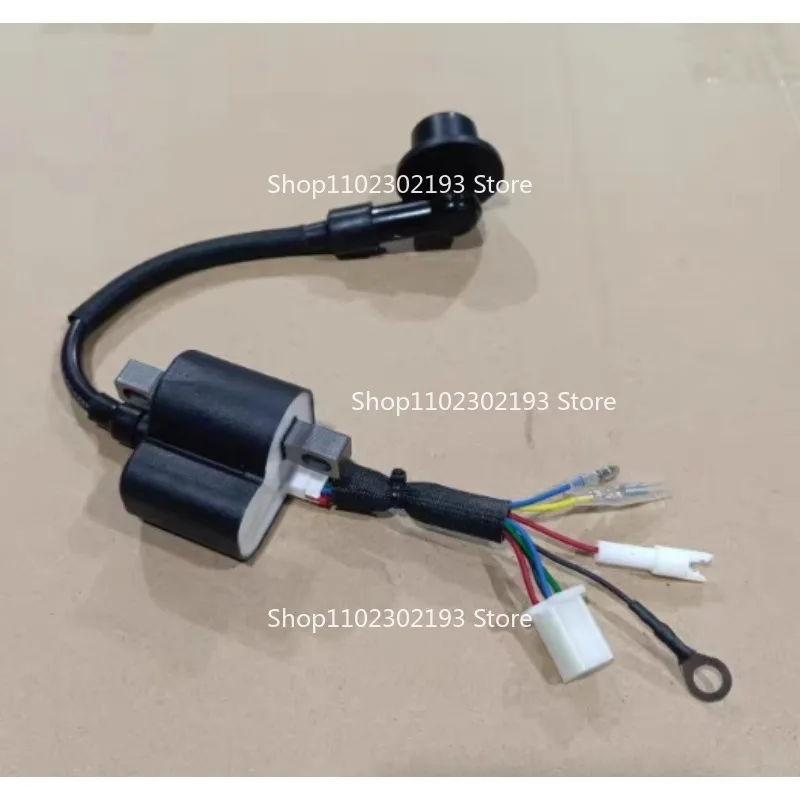24V Parking Generator High-voltage Package 148F Variable Frequency Silent Generator High-voltage Package 8-wire Ignition Coil