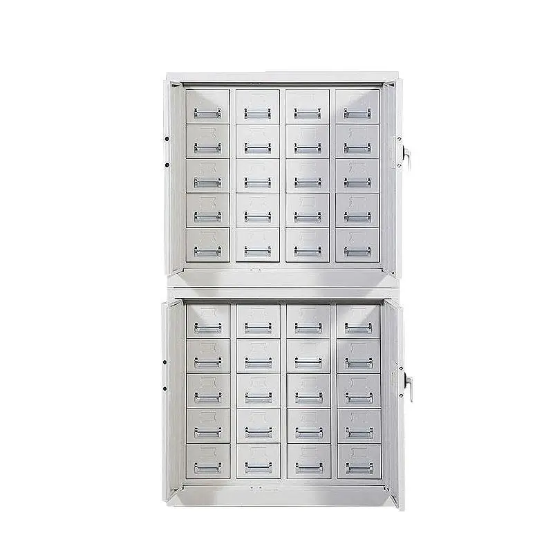 

Smart Passport Cabinet Document Management Storage Cabinet with Drawer Password Lock