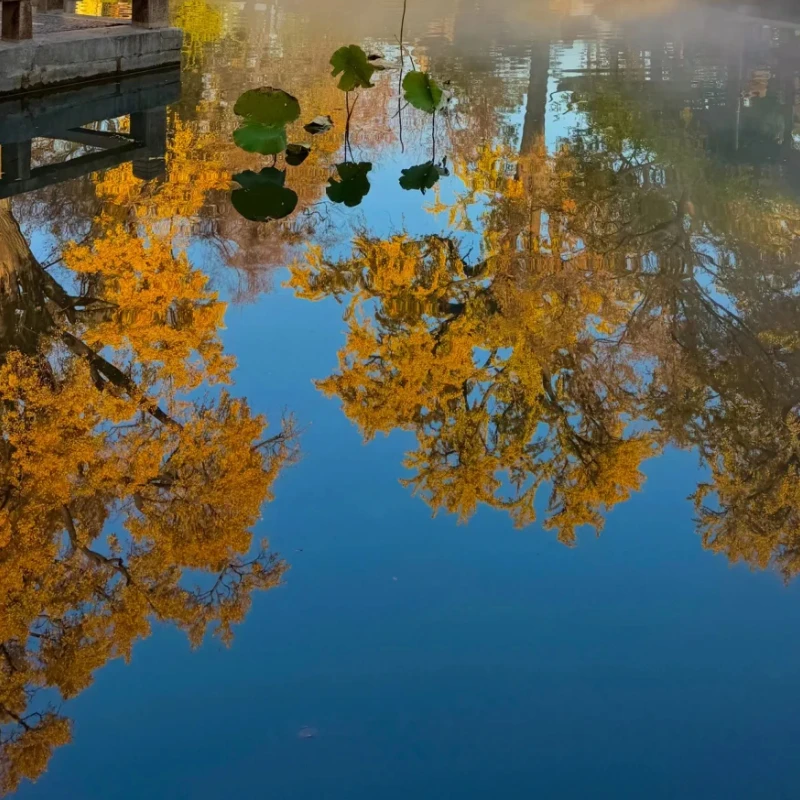 

GEPRC TAKER F405 BLS 50A Stack 42688-P Гироскоп 16 МБ Черный ящик Анализ данных Запись полета Дані Plug and Play Racing FPV Drone