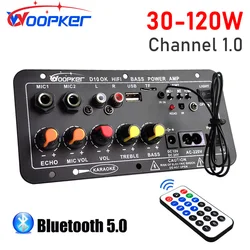 Woopker D10 Digital Bluetooth Amplifier Board Subwoofer Dual Microphone AMP for 8-12 inch 4ohm Speaker 12V/24V 110-220V