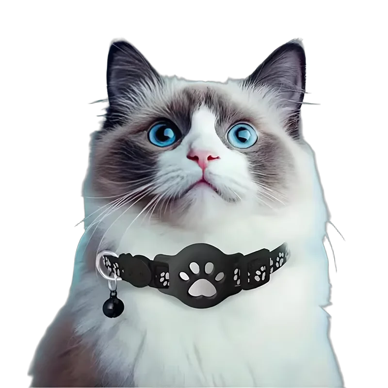 Pet GPS Tracker Collar Real-Time Anti-Lost Waterproof Cat Adjustable Safety Collar Mini GPS Locator for Kitten Outdoor Anti-Lost