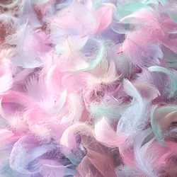 Natural Goose Feathers Plumes 4-7cm 7-11cm Swan Feather Plume for Home Decoration Craft DIY Wedding Jewelry Accessories 100pc