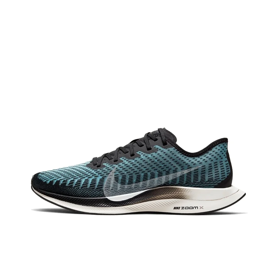 

Nike Zoom Pegasus Turbo 2 Pumice AT2863-006