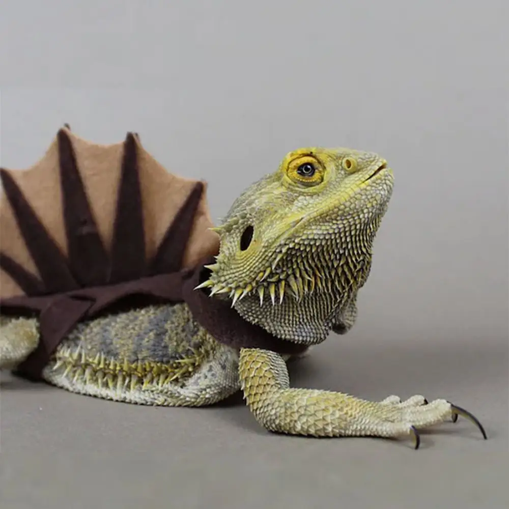 

Stegosaurus Lizard Costume Adjustable 3 Straps Dinosaur Shape Lizard Cloth Thorn Dragon Funny Creative Reptile Apparel