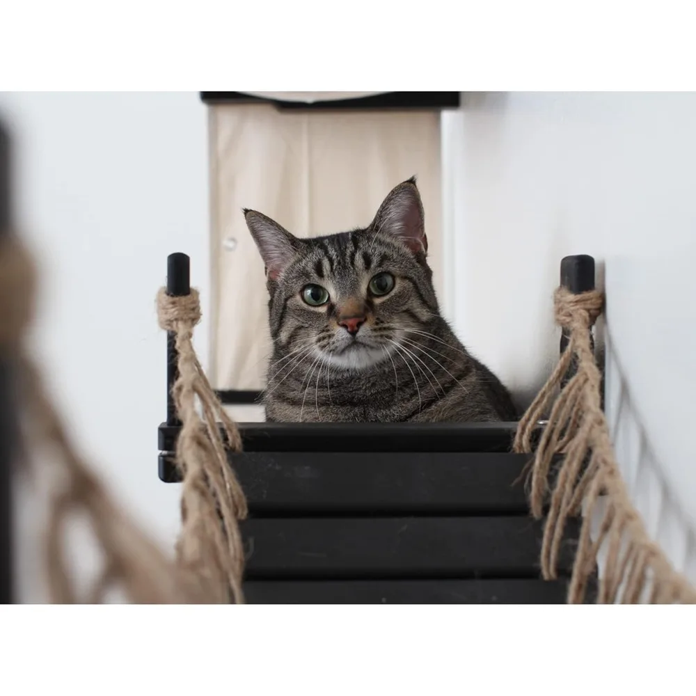 Apartment Cat Tree hammock and Cat Bridge - Wall mounted Multi story Activity Center - Onyx Bamboo/Natural Canvas