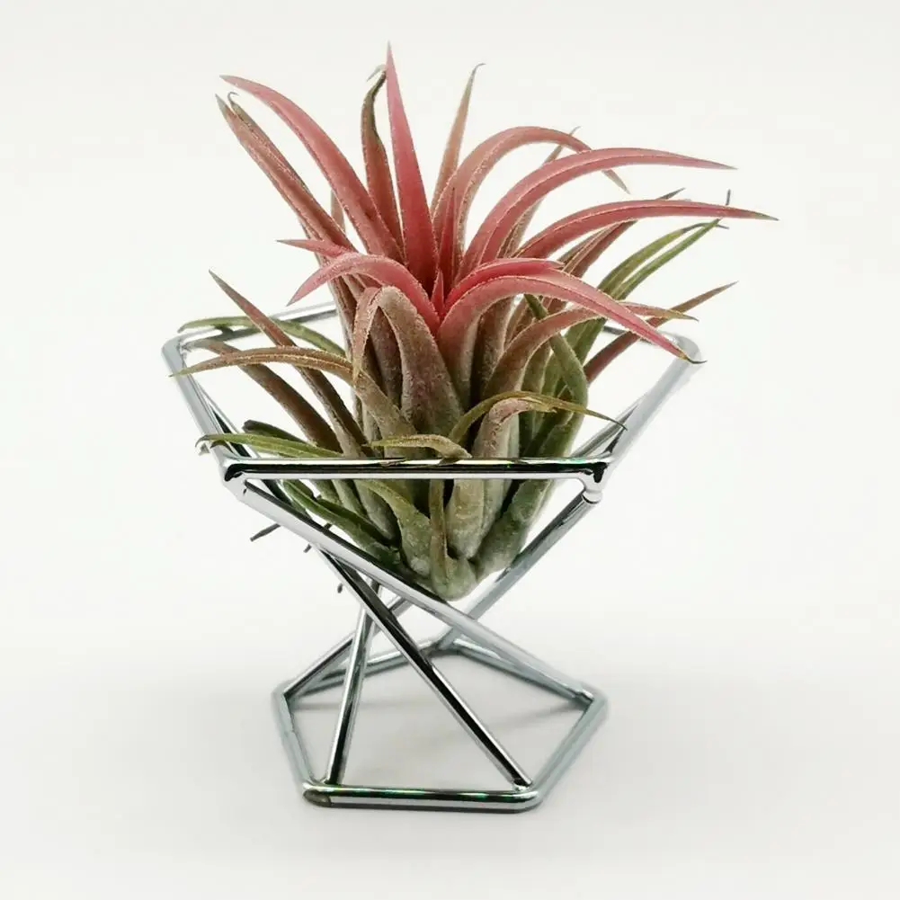 3Pcs Practical Air Plant Stand Holder  Minimalist Metal Tillandsia Display Stand  Beautify Airplant Container Pot