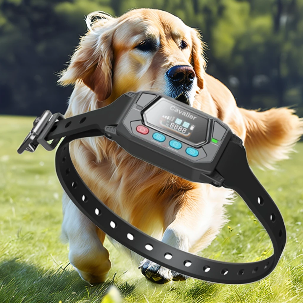 2025 IPX7 Training Collar System Electric And Pet Electronic Waterproof Top Seller Custom Shape Dropship Gps Wireless Dog Fence