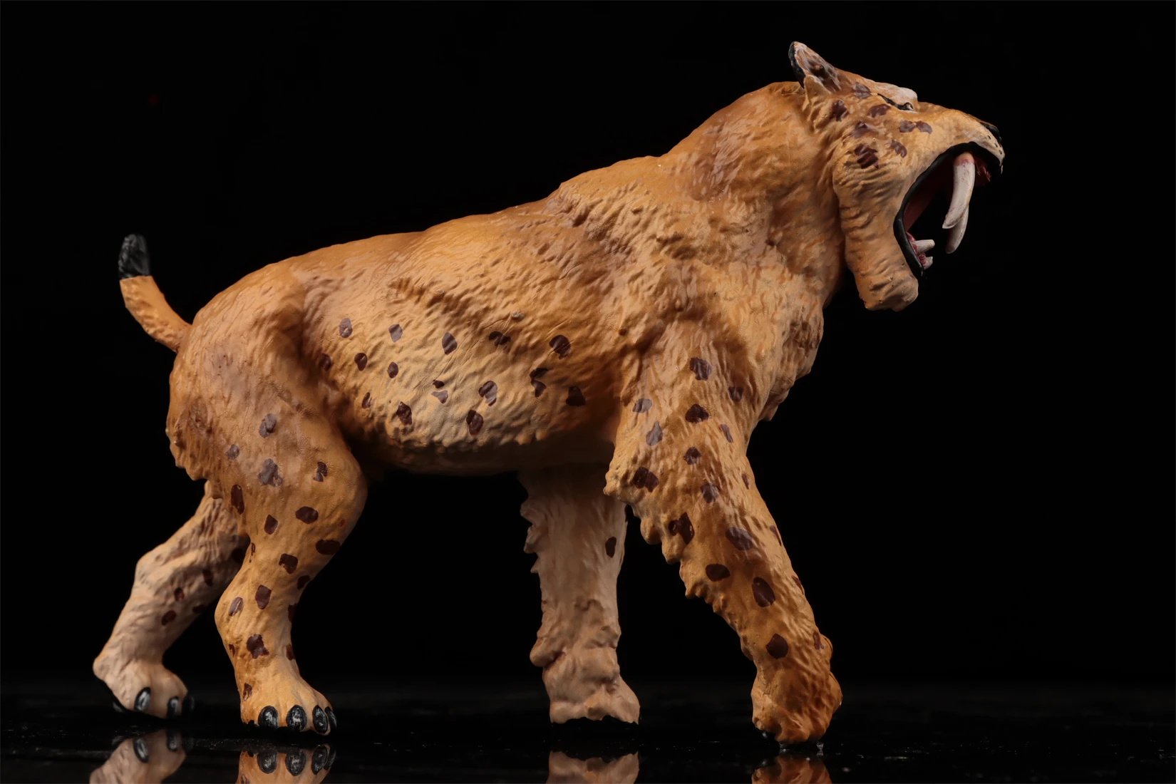 アースストーリースタジオサーベルタイガーモデル先史時代の動物フィギュアマカイロダスコレクションシーン装飾誕生日ギフトおもちゃ