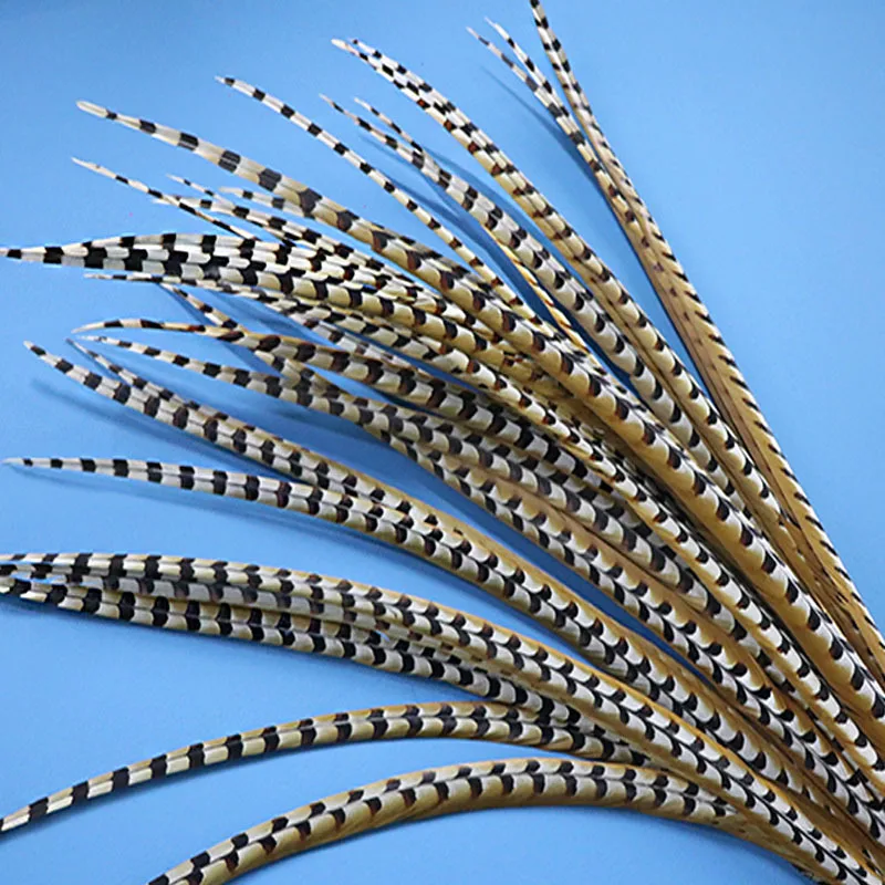 Natural Ringneck Pheasant Feathers for Needlework Crafts on The Head 10-110cm Long Feather Tail Carnival Accessories Decoration