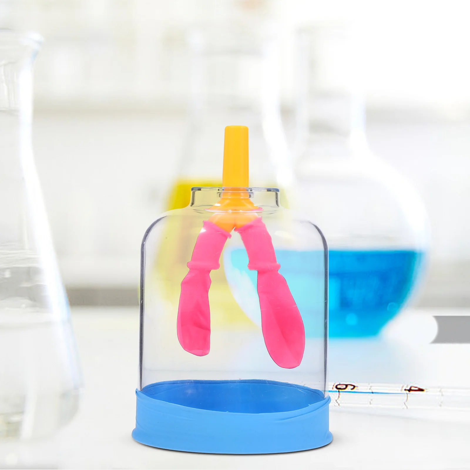 High School Physics Experiment Lung Breathing Model Education Teaching Transparent