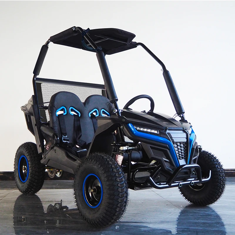 196CC Adult Off Road Go Kart, High Efficiency Stable Power Component Complete Frame For Beach Dune Outdoor Racing