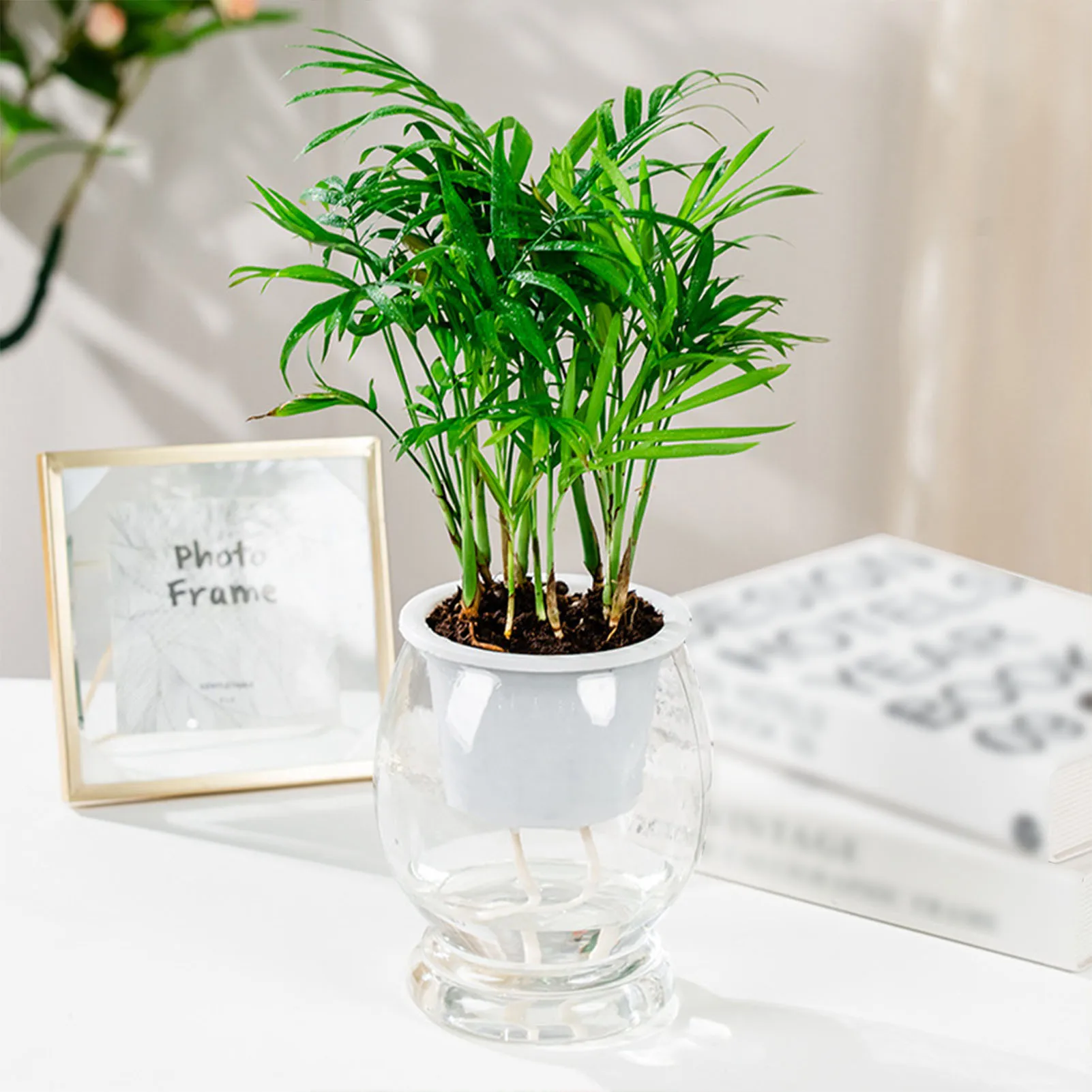 Transparent Self-Watering Plant Flower Pot Plastic Planter Automatic Water-Absorbing Flowerpot Home Garden Decor Lazy Flowerpot