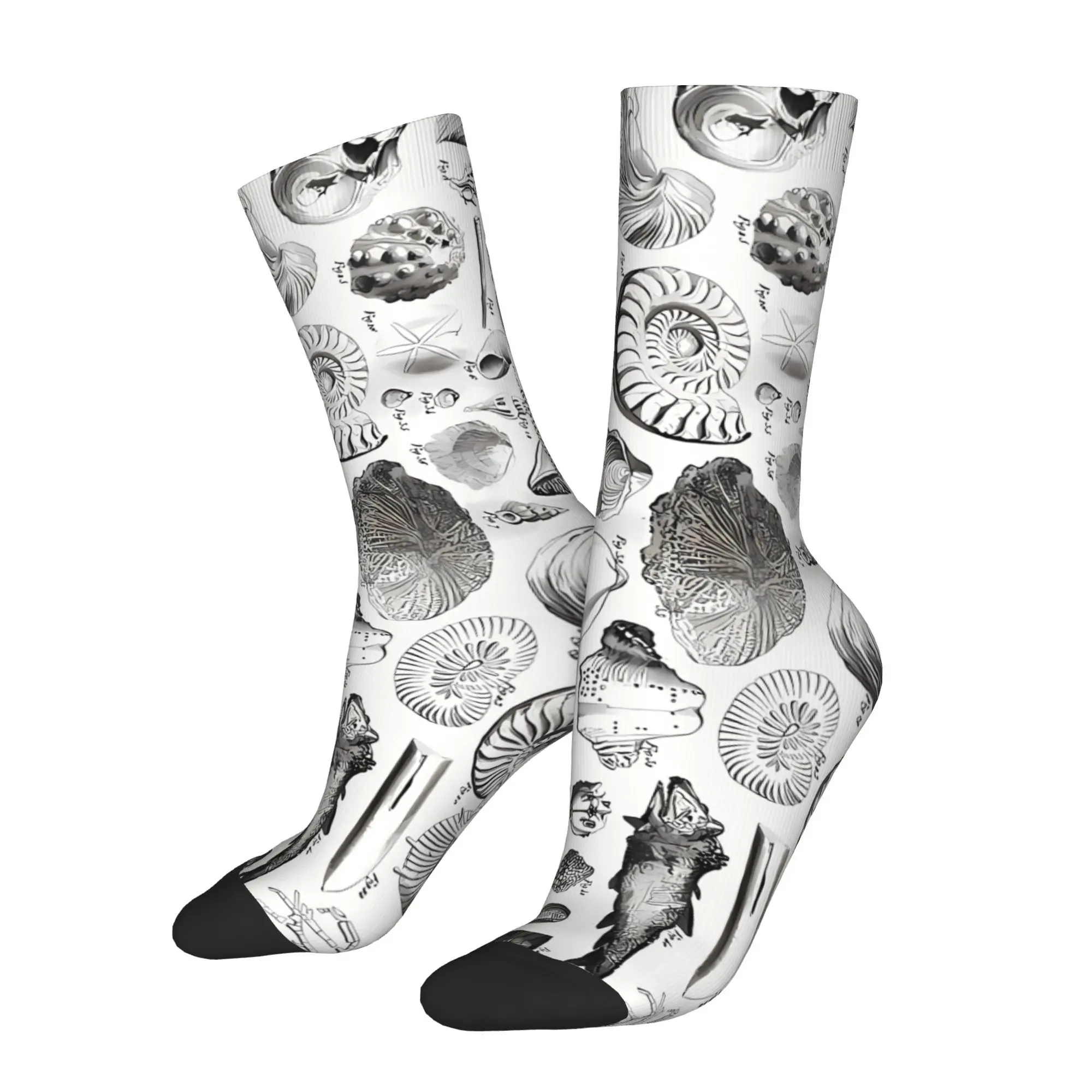 

1857 Diagram Paleontology Fossils Sock Printed Man Polyester Fashion