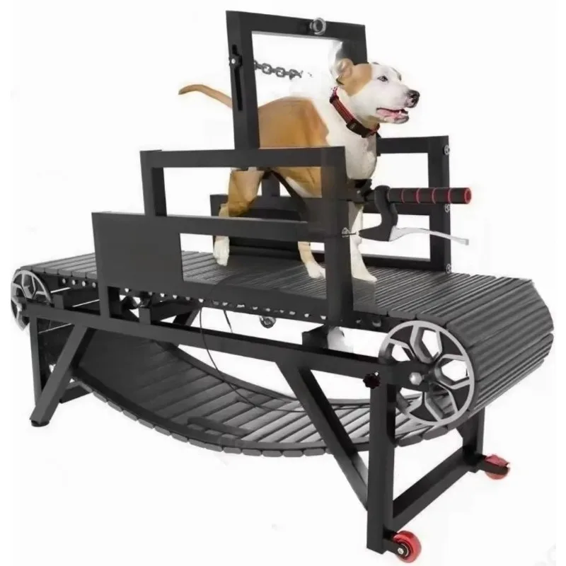 

Professional folding dog treadmill rehabilitation and training equipment for small/large dogs