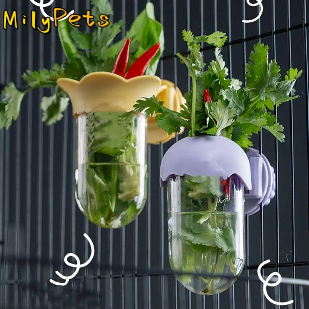 

Transparent Parrot Flower Hydroponic Bottle Eco-Friendly Reusable Parrot Feeding Device BPA-Free Flower Arrangement Jar
